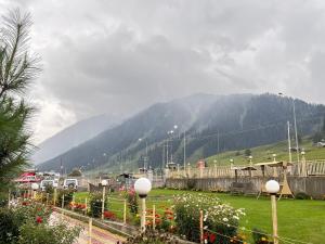 sonamarg glacier