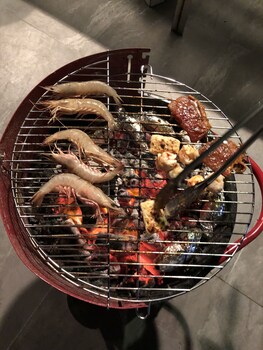 south nest