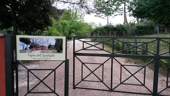 bandb vigna dellagrifoglio