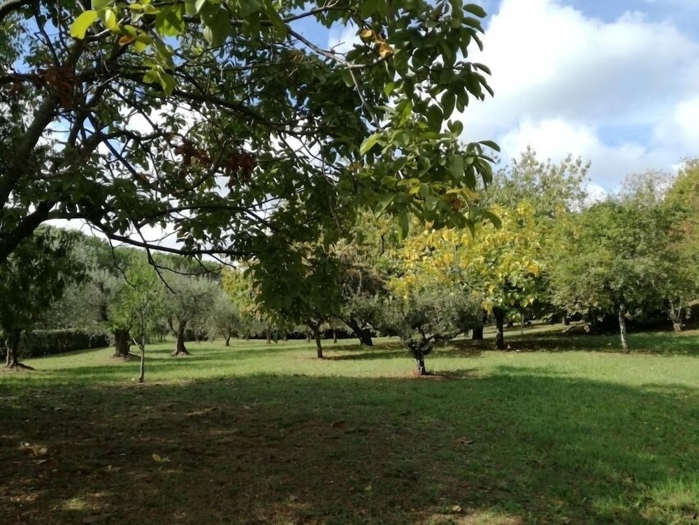 bandb vigna dellagrifoglio