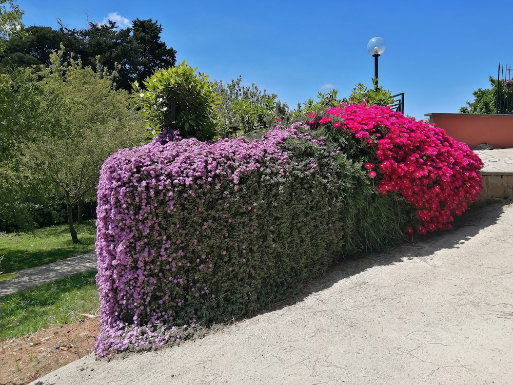 bandb vigna dellagrifoglio