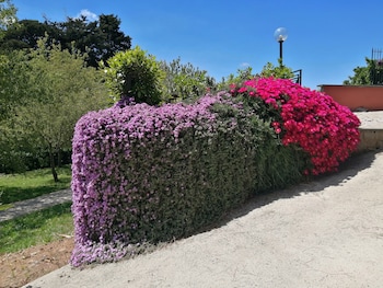 bandb vigna dellagrifoglio