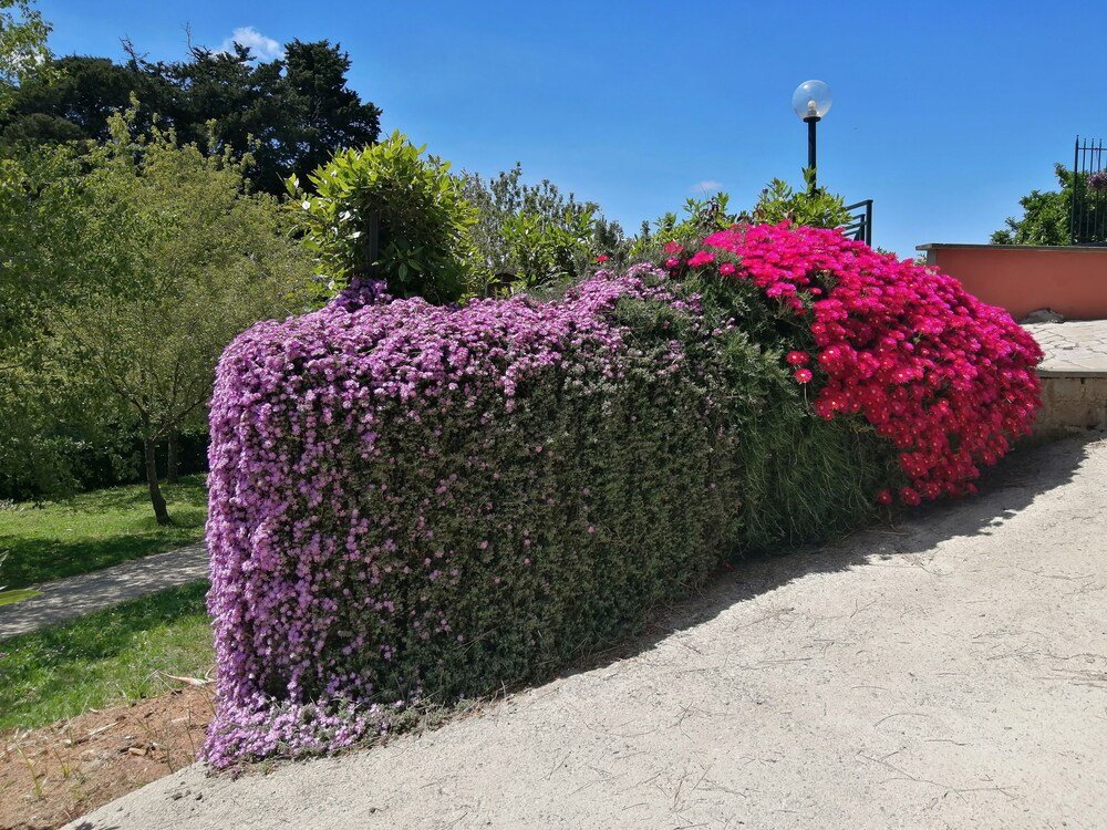 bandb vigna dellagrifoglio