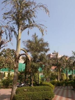 Hotel Nirwana Palace,Bakhtpura,3 star