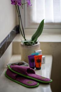 hotel colombia