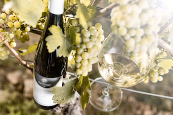 termeno sulla strada del vino