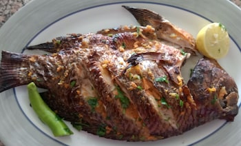 giza pyramids view guest house