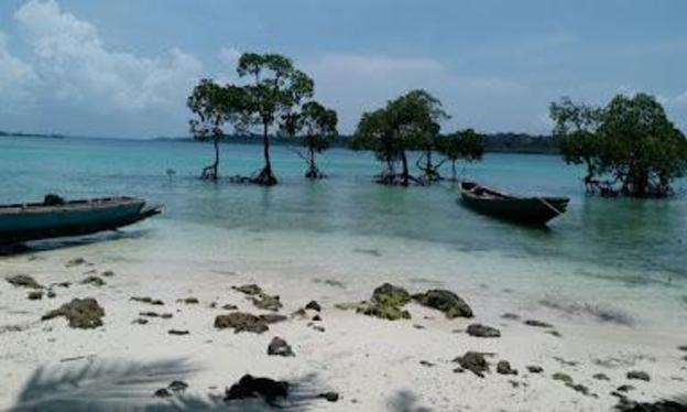 ocean pearl beach resort