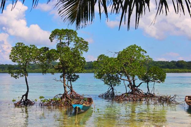 ocean pearl beach resort