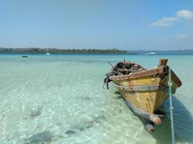 ocean pearl beach resort