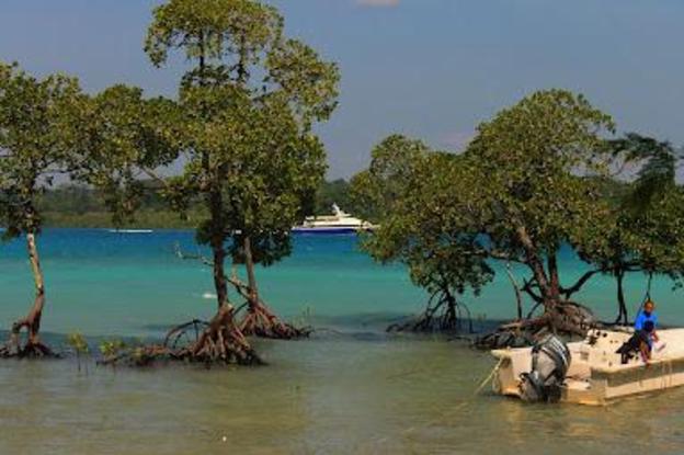 ocean pearl beach resort