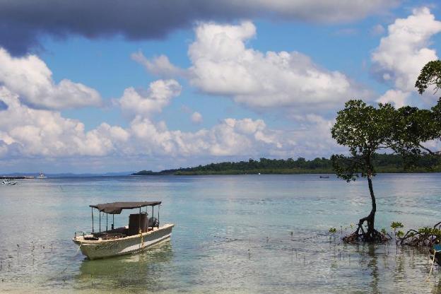 ocean pearl beach resort