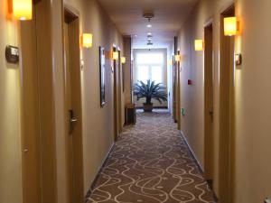 7 days premiuma hengshui shenzhou municipal govern