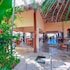 hotel tropicana near olas altas street