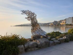 montreux grand rue apartments