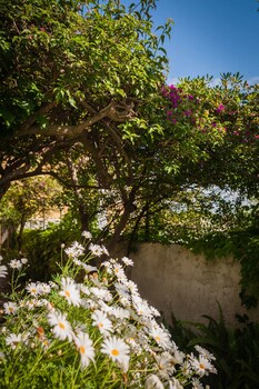 ischia