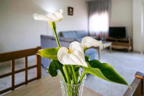 apartamentos la castilleja
