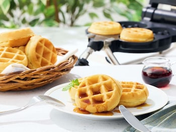 comfort inn munakata