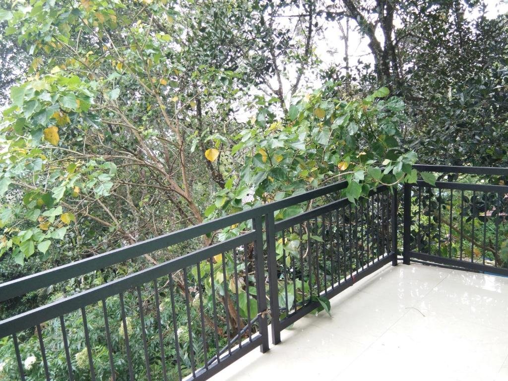 winter green resorts