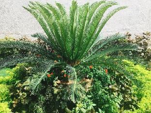 shree balaji deluxe lodge