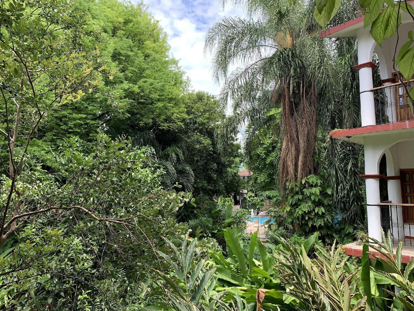 Yaxche,Chiapa De Corzo,3 star
