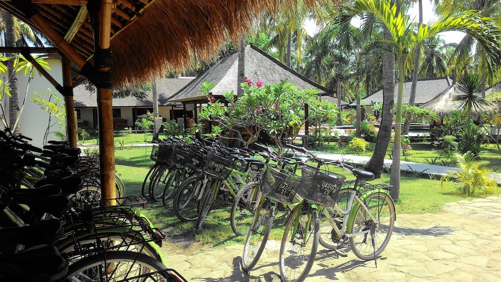 trawangan oasis