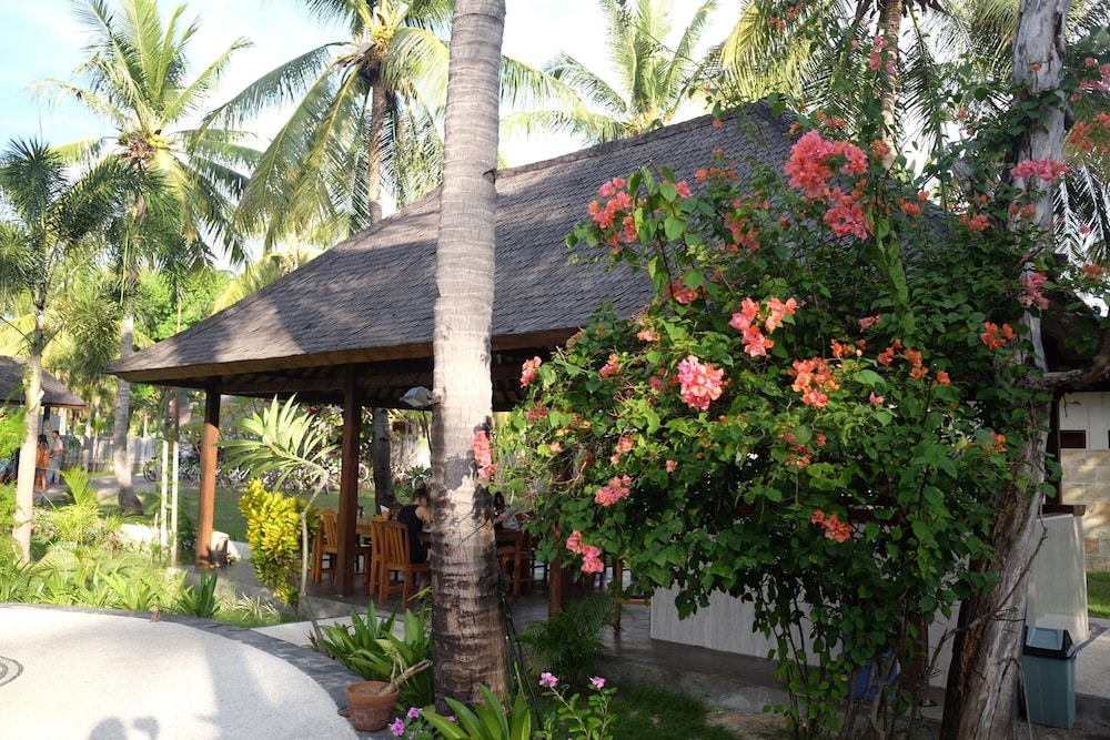 trawangan oasis