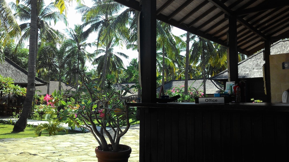 trawangan oasis