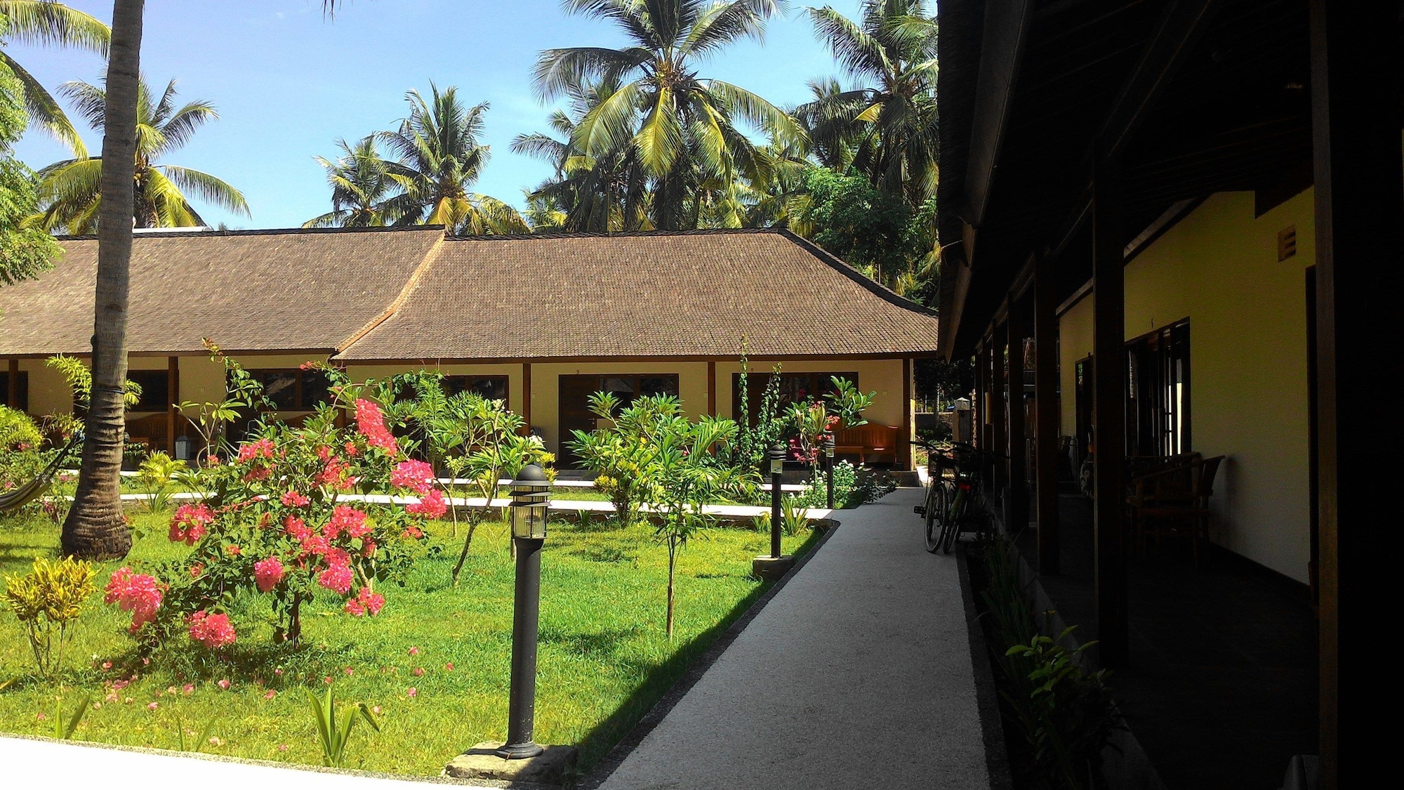trawangan oasis