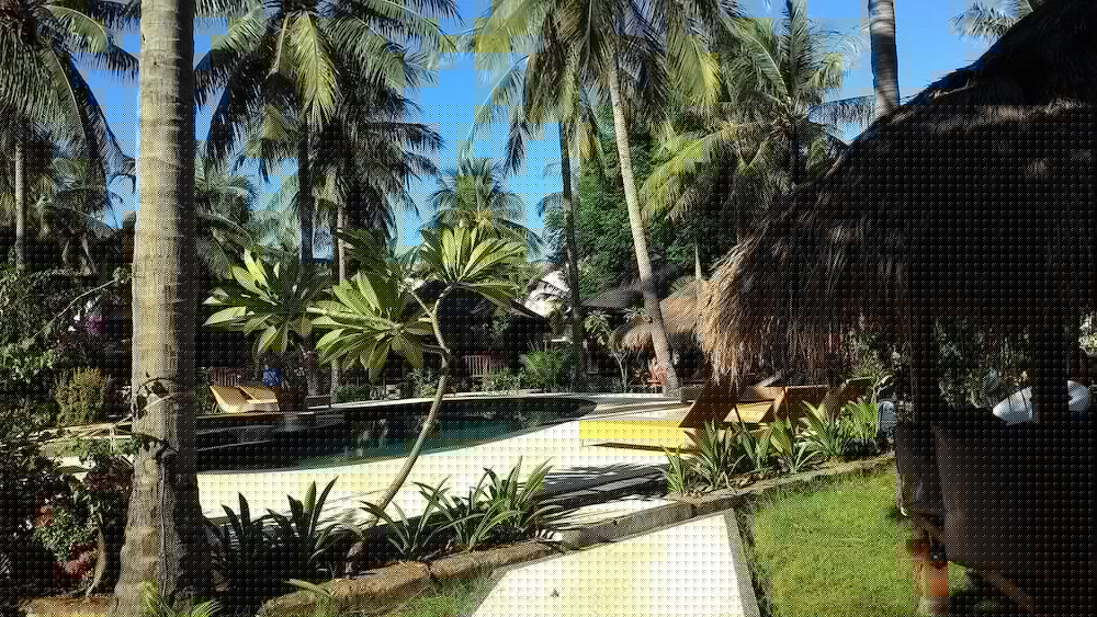 trawangan oasis