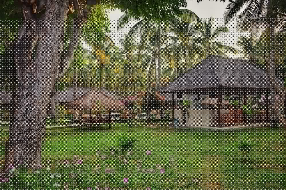 trawangan oasis
