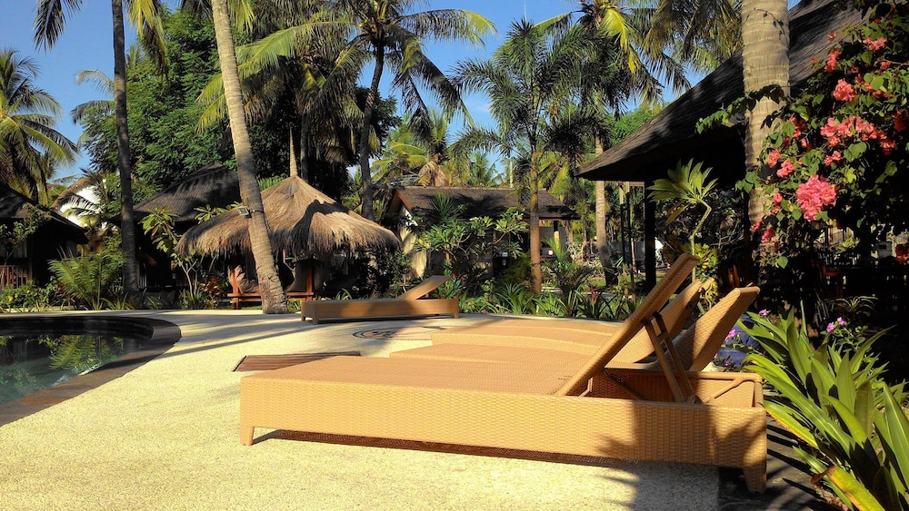 trawangan oasis