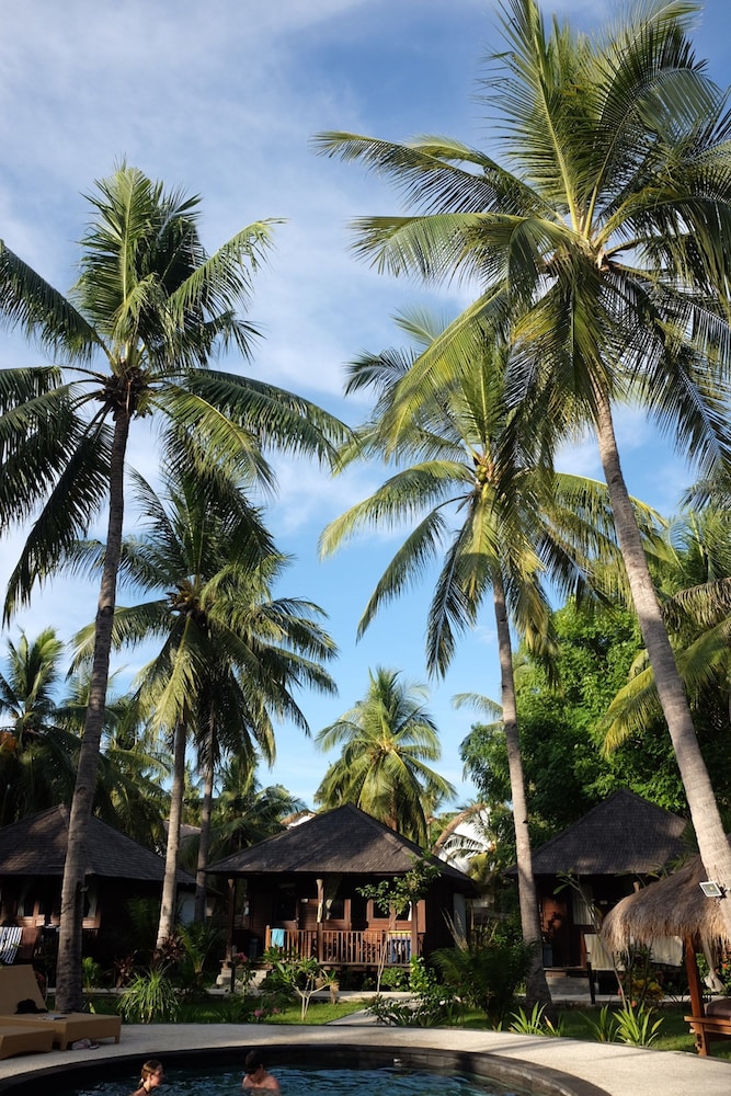 trawangan oasis