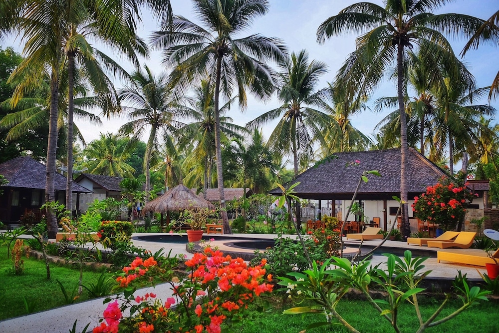 trawangan oasis