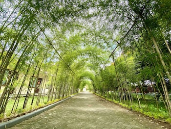 ndc resort
