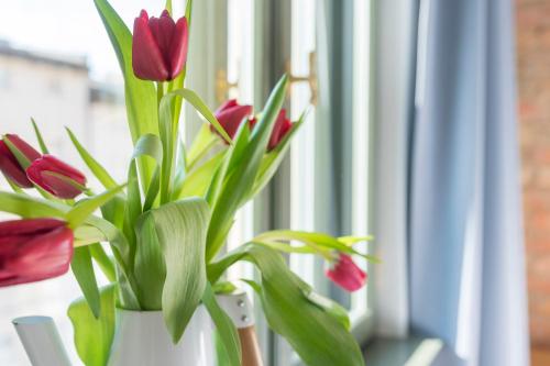 provenir home strzelecka 25