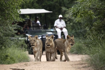 kuname lodge