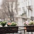 charming milan apartments brera madonnina