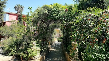 calvi