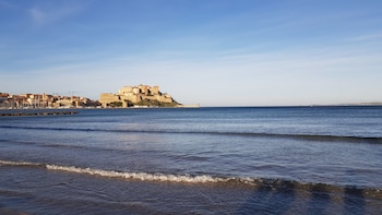 calvi