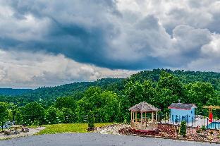 mount vernon