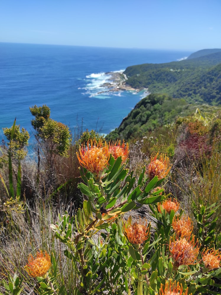jeffreys bay