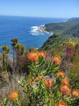 jeffreys bay