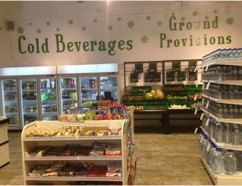 ocho rios ocean view villa at the palms