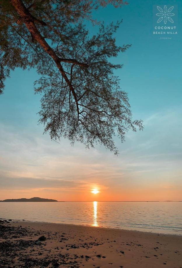 coconut beach villa langkawi