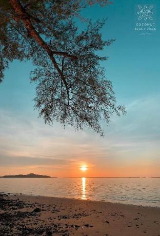 coconut beach villa langkawi
