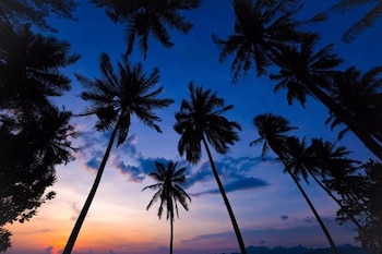 coconut beach villa langkawi