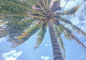 grand bay suites