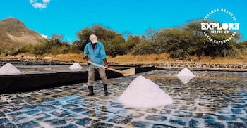 veranda tamarin hotel and spa