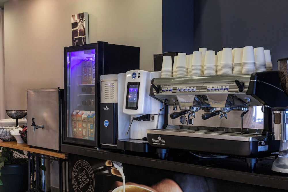 daria authentic israel experience